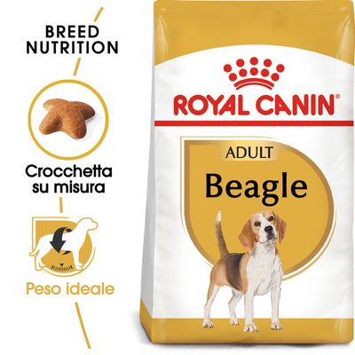 Royal Canin Beagle Adult 3kg - Crocchette per Cani Royal Canin Beagle Adult 3kg - Crocchette per Cani